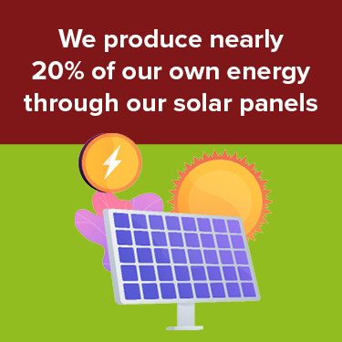 We produce 20% of our own energy through out solar panels